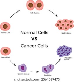 Normal Cells VS Cancer Cells Design Vector Illustration