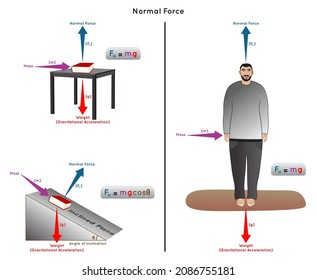 Normal Force Infographic Diagram with example of book on table and on inclined plane man standing on floor mass weight gravitational acceleration inclination angle physics science education vector