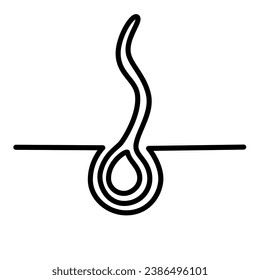 Normal hair growth line icon. Inflammation, skin problems. Anatomy infographics of hair. Vector illustration isolated on the white background.