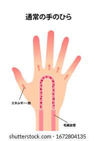 Ilustración normal de circulación sanguínea (japonés). traducción: Mano normal, Energía, Capilares.