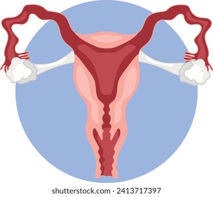 Normal healthy uterus without any underlying pathology