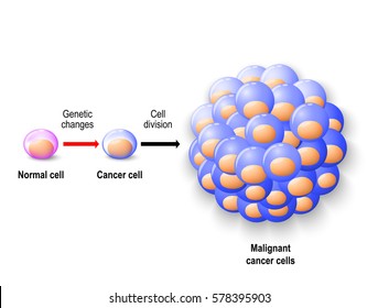 Normal Human Cell Reborn To Cancer Cells, And Growing To Malignant Tumor. Human Anatomy