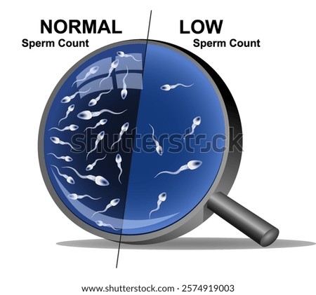 Normal and low sperm count in seminal fluid. Male infertility oligospermia. Vector illustration