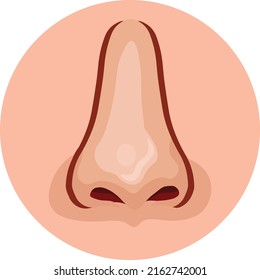 normale Nase-Anterior-Vektorgrafik