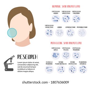 Normal, Pathogenic Skin Microflora. Bacteria. Microbiome. Staphylococcus, Streptococcus, Propionibacterium, Corynebacterium, Candida, Pseudomonas Aeruginosa, Yersinia, Klebsiella. Vector Flat Cartoon