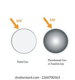 Normal  and  photochromic lens. Concept of changing of lens color depending on type of lighting, Photochromic Lens, Darkens in Sunlight, UV polarized lens, Vector illustration.
Vector Formats