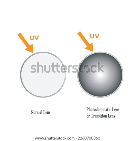 Normal  and  photochromic lens. Concept of changing of lens color depending on type of lighting, Photochromic Lens, Darkens in Sunlight, UV polarized lens, Vector illustration.
Vector Formats