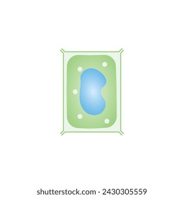 Normal Plant Cell Scientific Design. Vector Illustration.	