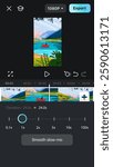 Normal Speed Settings in application for Video Edit. Velocity effects.  Working on a project.  Vertical format in minimalistic style. Mobile Video Interface