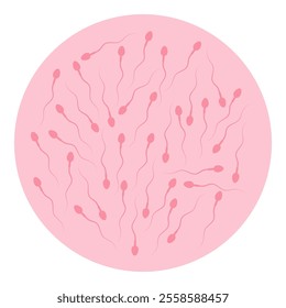 Normal sperm count icon isolated white background