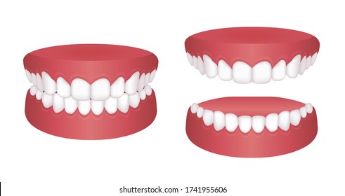 Normal teeth Vector illustration set