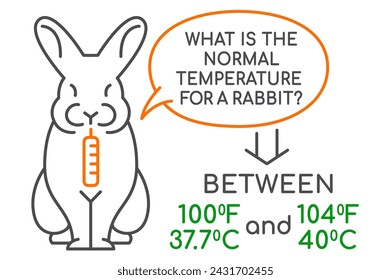 La temperatura normal para un conejo. Infografía médica. Cartel de veterinario de paisaje. Información útil. Tu concepto de bienestar de mascota. Ilustración vectorial editable aislada sobre un fondo blanco
