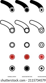 Vasodilatación normal y vasoconstricción vascular, iconos vectoriales
