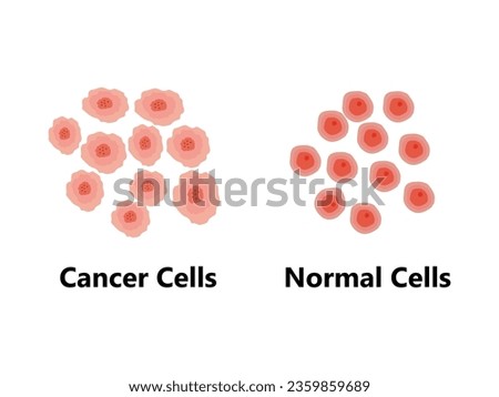 Normal vs Cancer Cell Division. Loss of normal growth control of cell. Mutation of cell vs Cell apoptosis