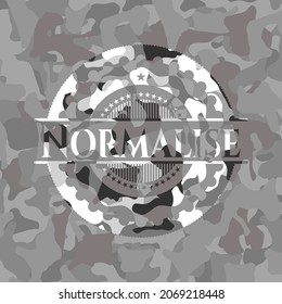 Normalise grey camouflage emblem. Vector Illustration. 