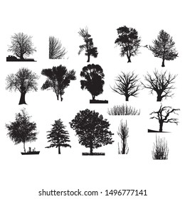 Normal-trees, palm tree - Set constructor from realistic black silhouettes isolated tropical palm trees, branch, and separate banana leaves, talipot on a white background.