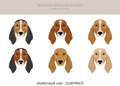 Norman Artesian Basset clipart. All coat colors set.; All dog breeds characteristics infographic. Vector illustration