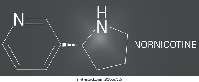Nornicotine alkaloid molecule. Related to nicotine and also found in Nicotiana plants. Skeletal formula.