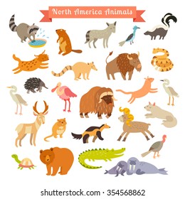 North America animals vector illustration. North America animals for children and kids.  North America mammals. Animals cartoon style. Big vector set.Isolated on white. Preschool,baby travelling,drawn