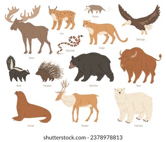 North America animals vector illustrations set. Moose, Bison, bear, reindeer wild forest animals. Skunk, Lynx, Cougar and others. Colorful flat mammals, nature characters isolated on white background