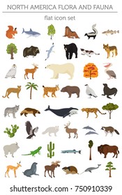 Elementos planos de flora y fauna de América del Norte. Animales, pájaros y vida marina. Construya su colección de infografías geográficas. Ilustración del vector