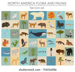 North America flora and fauna flat elements. Animals, birds and sea life big set. Build your geography infographics collection. Vector illustration