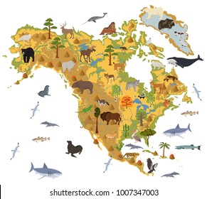 North America flora and fauna map, flat elements. Animals, birds and sea life big set. Build your geography infographics collection. Vector illustration