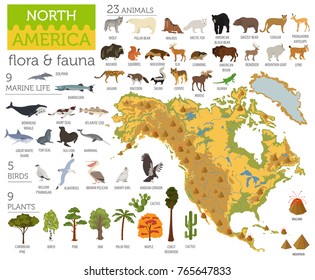 North America Flora And Fauna Map, Flat Elements. Animals, Birds And Sea Life Big Set. Build Your Geography Infographics Collection. Vector Illustration