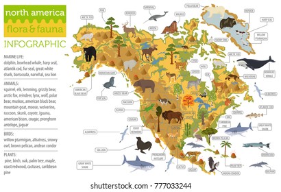 North America flora and fauna map, flat elements. Animals, birds and sea life big set. Build your geography infographics collection. Vector illustration