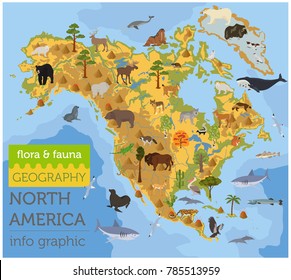 North America flora and fauna map, flat elements. Animals, birds and sea life big set. Build your geography infographics collection. Vector illustration