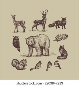 North american animal illustration bundle suitable for a variety of icons and logos