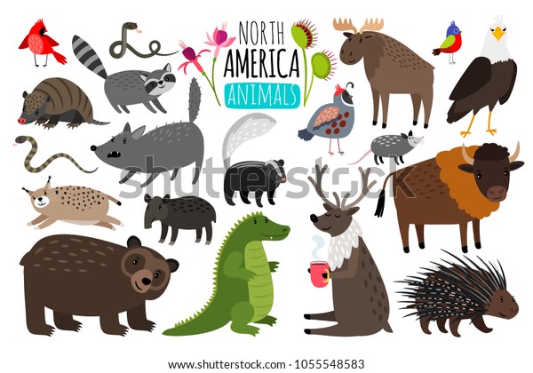 North american animals. Animal graphics\
of North America, american bison and skunk, cute moose and lynx,\
raccoon and porcupine isolated on white\
background