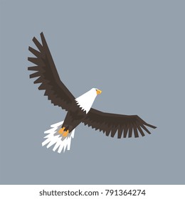 North American Bald Eagle character flying in the sky, symbol of freedom and independence vector illustration