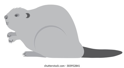 The North American Beaver Grayscale Vector Illustration
