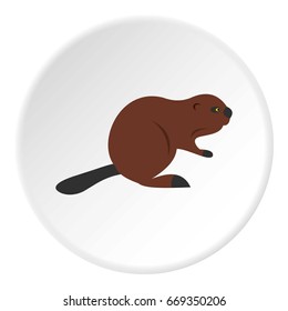 North American beaver icon in flat circle isolated on white vector illustration for web