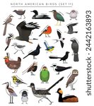 North American Birds Set Cartoon Vector Character 11