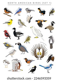 North American Birds Set Cartoon Vector Character 1