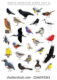 North American Birds Set Cartoon Vector Character 3