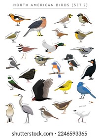 North American Birds Set Cartoon Vector Character 2