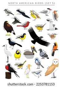 North American Birds Set Cartoon Vektor Character 5