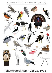 North American Birds Set Cartoon Vector Character 7