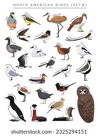 North American Birds Set Cartoon Vector Character 8