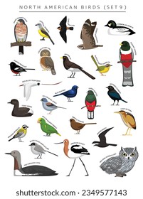 North American Birds Set Cartoon Vector Character 9