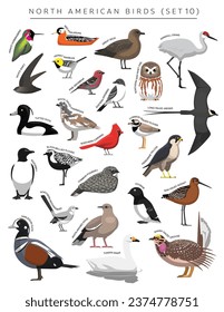 North American Birds Set Cartoon Vector Character 10