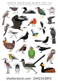 North American Birds Set Cartoon Vector Character 11