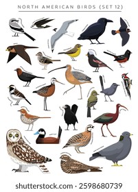 North American Birds Set Cartoon Vector Character 12