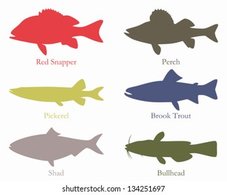 North American food fish