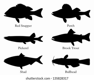 North American food fish