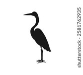 North American Snowy Egret icon in black fill silhouette mode. Illustration vector