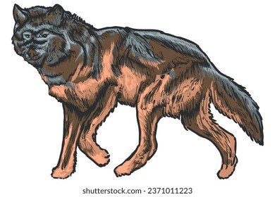 North American Wolf Vector Set